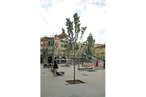 Krata ochronna KD77 kraty ochronne na drzewo do drzewa mała architektura miejska-3